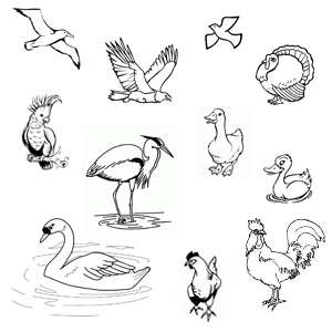 imagini de colorat animale